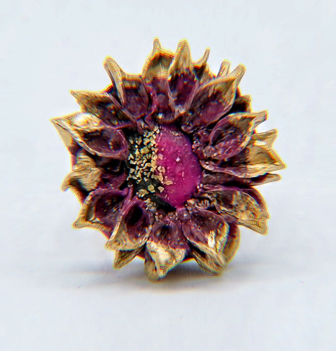 Anillo Eclipse Borgoña